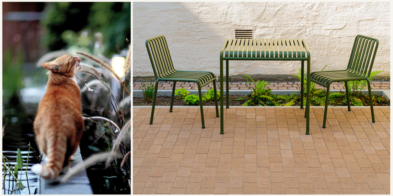 Regnbedd for å samle opp og håndtere overvann