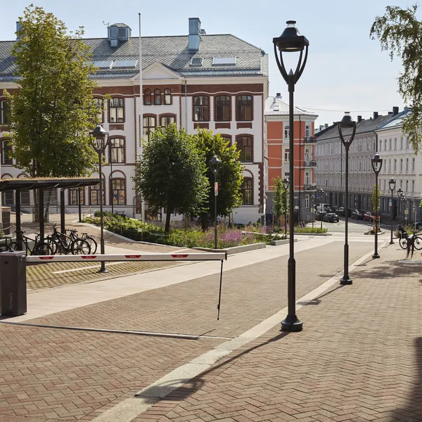 Hartvig nissen skole med arena belegningsstein i koi farger