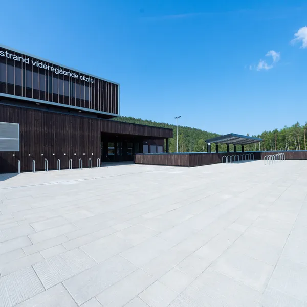 Børstede grå gangbaneheller utenfor tvedestrand videregående skole